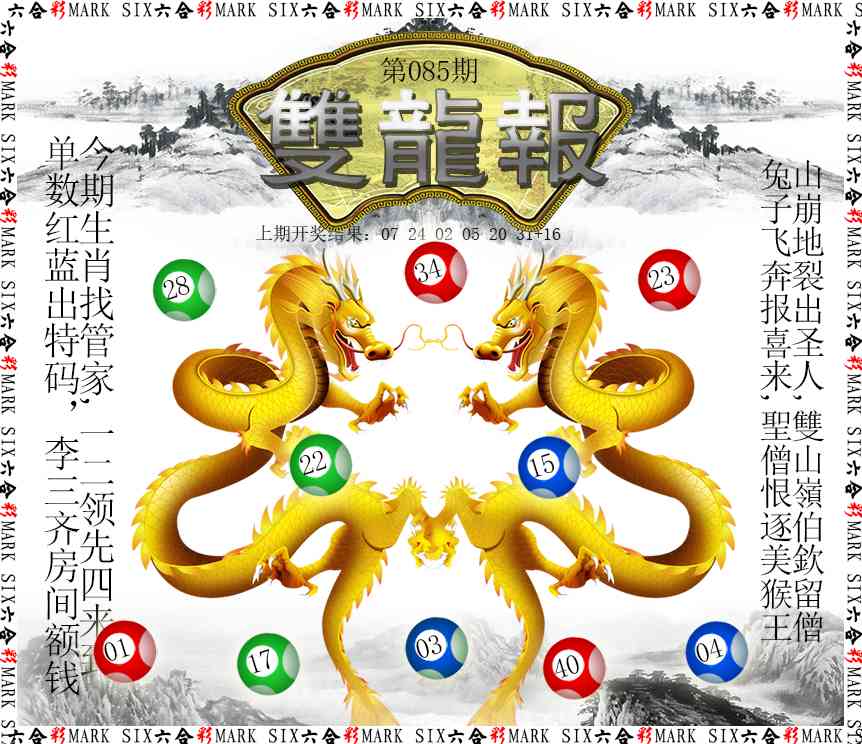 085期双龙报[图]